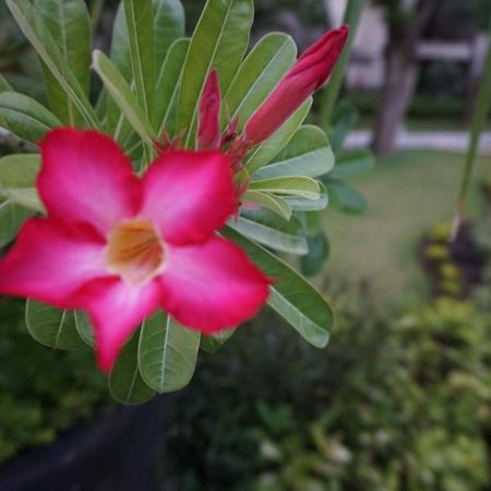 Ruby Nusa Dua  Exterior foto